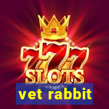 vet rabbit